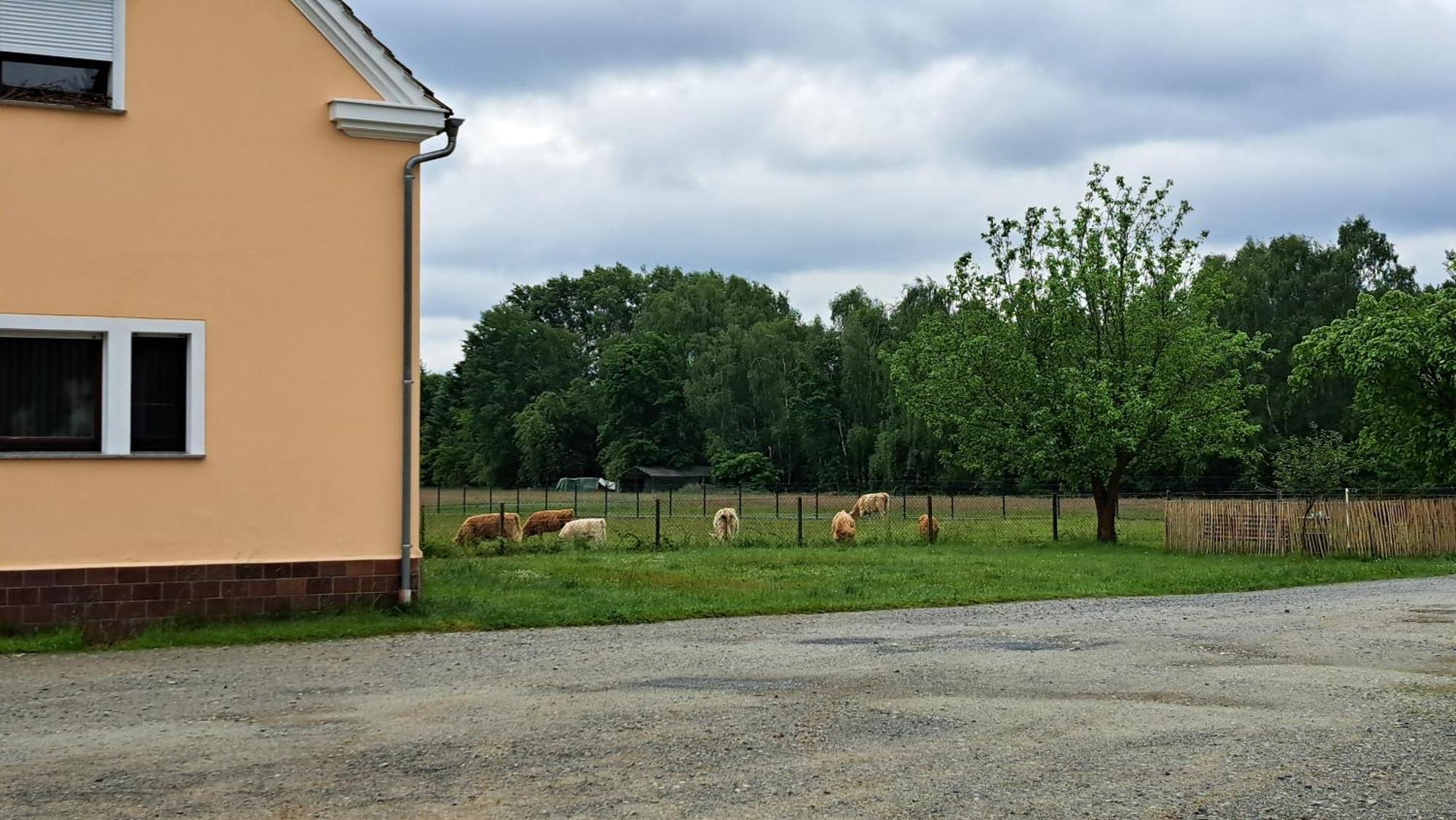 Ferienwohnung Am See Kromlau Exteriör bild